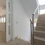 Paraiso